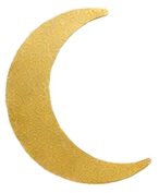 unnamed image